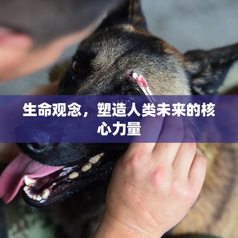 生命觀念，塑造人類未來的核心力量