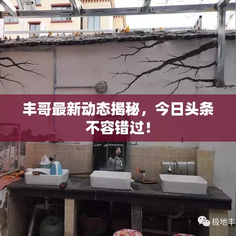 豐哥最新動態(tài)揭秘，今日頭條不容錯過！