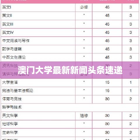 澳門大學(xué)最新新聞頭條速遞