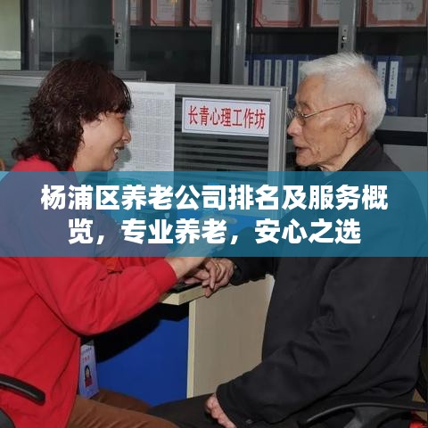 楊浦區(qū)養(yǎng)老公司排名及服務(wù)概覽，專業(yè)養(yǎng)老，安心之選