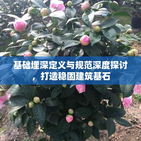 基礎(chǔ)埋深定義與規(guī)范深度探討，打造穩(wěn)固建筑基石