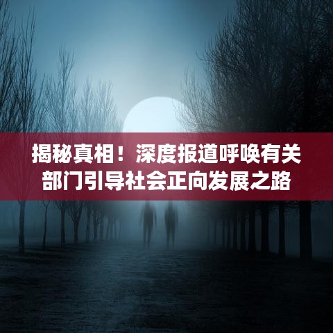 揭秘真相！深度報道呼喚有關部門引導社會正向發(fā)展之路