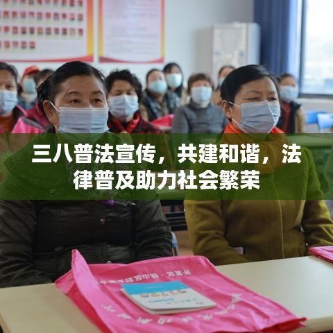 三八普法宣傳，共建和諧，法律普及助力社會(huì)繁榮