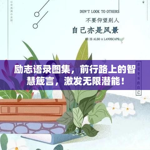 勵(lì)志語錄圖集，前行路上的智慧箴言，激發(fā)無限潛能！