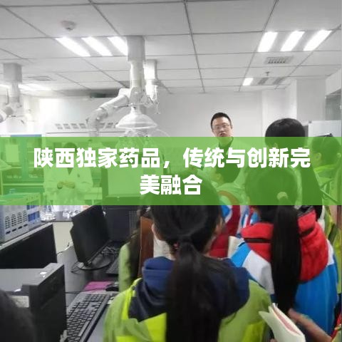 陜西獨(dú)家藥品，傳統(tǒng)與創(chuàng)新完美融合