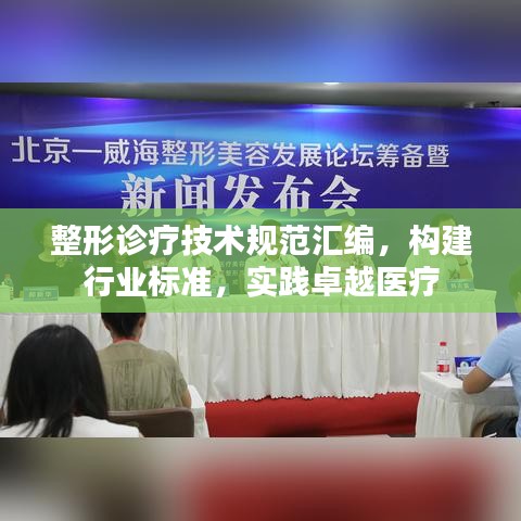 整形診療技術(shù)規(guī)范匯編，構(gòu)建行業(yè)標(biāo)準(zhǔn)，實(shí)踐卓越醫(yī)療