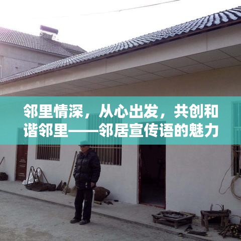 鄰里情深，從心出發(fā)，共創(chuàng)和諧鄰里——鄰居宣傳語(yǔ)的魅力