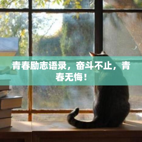 青春勵志語錄，奮斗不止，青春無悔！