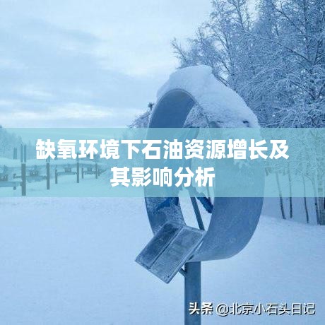 缺氧環(huán)境下石油資源增長及其影響分析