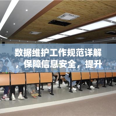 數(shù)據(jù)維護工作規(guī)范詳解，保障信息安全，提升操作效率