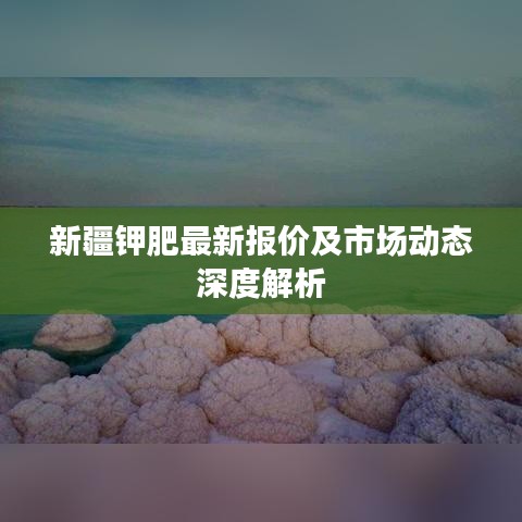 新疆鉀肥最新報(bào)價(jià)及市場(chǎng)動(dòng)態(tài)深度解析