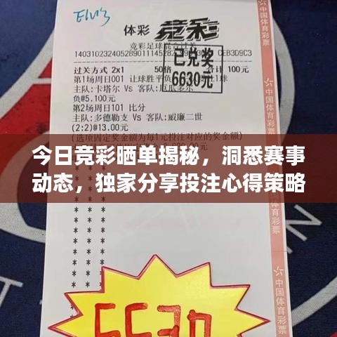 今日競彩曬單揭秘，洞悉賽事動態(tài)，獨家分享投注心得策略