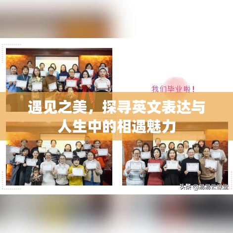遇見之美，探尋英文表達(dá)與人生中的相遇魅力