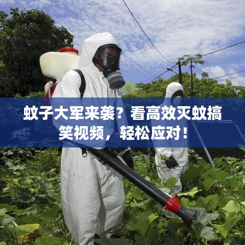 蚊子大軍來襲？看高效滅蚊搞笑視頻，輕松應(yīng)對(duì)！