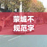 蒙城不規(guī)范字的來(lái)源與解析