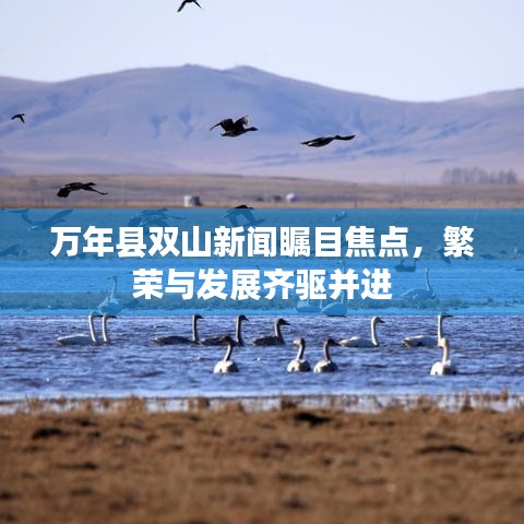 萬(wàn)年縣雙山新聞矚目焦點(diǎn)，繁榮與發(fā)展齊驅(qū)并進(jìn)