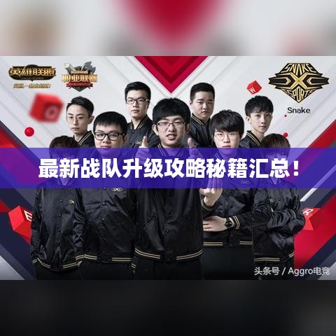 最新戰(zhàn)隊(duì)升級(jí)攻略秘籍匯總！