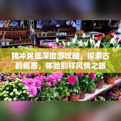 騰沖民居深度游攻略，探索古韻民居，體驗(yàn)別樣風(fēng)情之旅