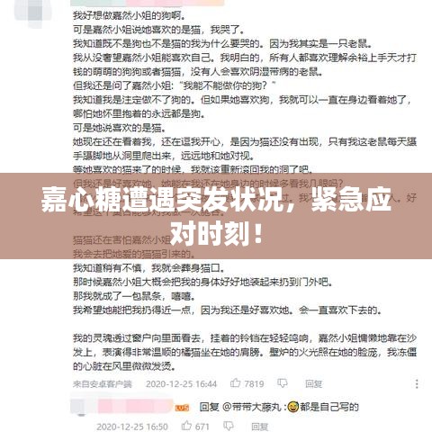 嘉心糖遭遇突發(fā)狀況，緊急應(yīng)對時刻！