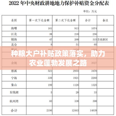 種糧大戶補貼政策落實，助力農(nóng)業(yè)蓬勃發(fā)展之路