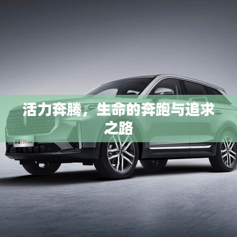 活力奔騰，生命的奔跑與追求之路