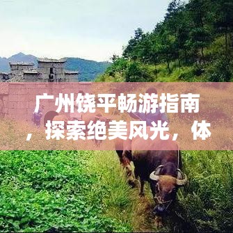 廣州饒平暢游指南，探索絕美風(fēng)光，體驗(yàn)獨(dú)特風(fēng)情！