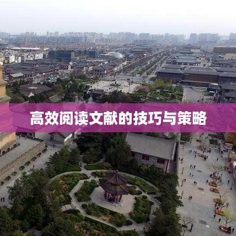 高效閱讀文獻(xiàn)的技巧與策略