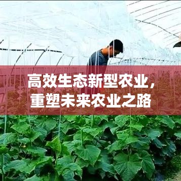 高效生態(tài)新型農(nóng)業(yè)，重塑未來農(nóng)業(yè)之路