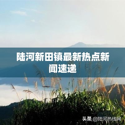 陸河新田鎮(zhèn)最新熱點(diǎn)新聞速遞