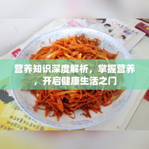 營養(yǎng)知識深度解析，掌握營養(yǎng)，開啟健康生活之門