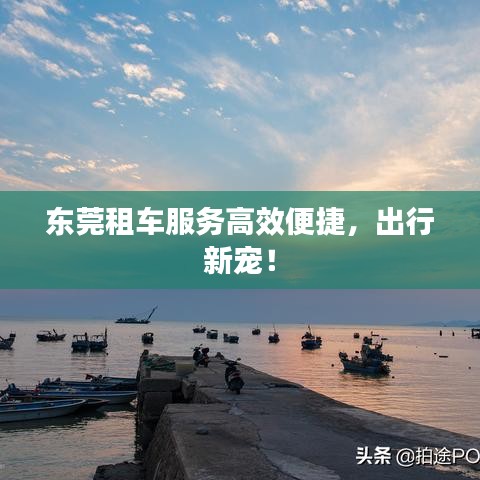 東莞租車服務(wù)高效便捷，出行新寵！