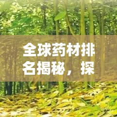 全球藥材排名揭秘，探究藥材的重要性