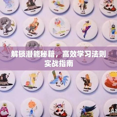 解鎖潛能秘籍，高效學(xué)習(xí)法則實(shí)戰(zhàn)指南