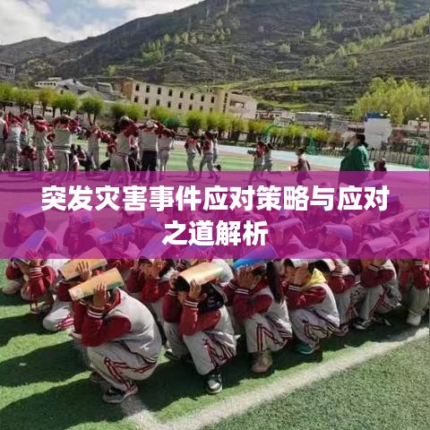 突發(fā)災(zāi)害事件應(yīng)對(duì)策略與應(yīng)對(duì)之道解析