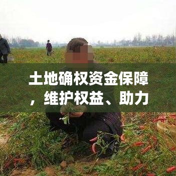 土地確權(quán)資金保障，維護權(quán)益、助力農(nóng)村發(fā)展的關(guān)鍵舉措