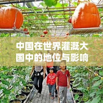 中國(guó)在世界灌溉大國(guó)中的地位與影響力解析
