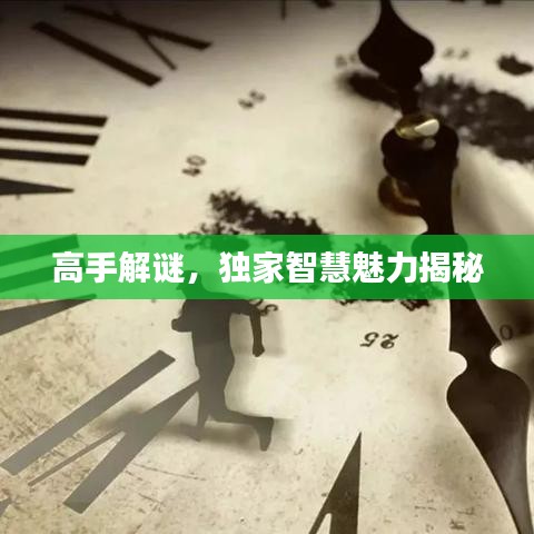 高手解謎，獨家智慧魅力揭秘