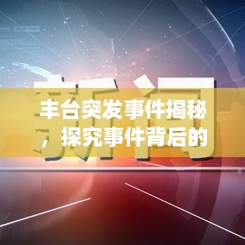 豐臺突發(fā)事件揭秘，探究事件背后的真相