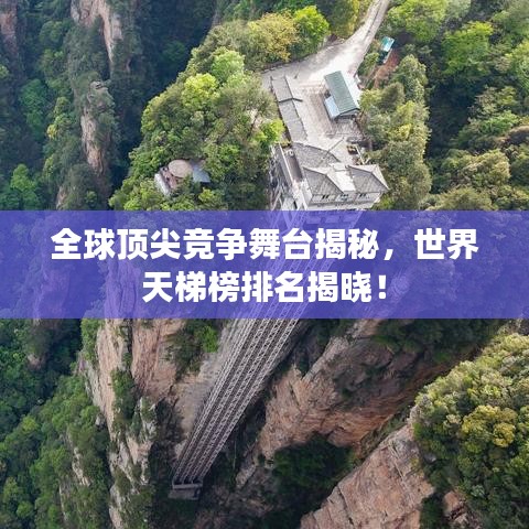 全球頂尖競爭舞臺揭秘，世界天梯榜排名揭曉！