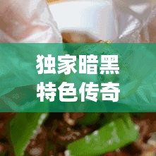獨(dú)家暗黑特色傳奇，神秘傳奇之旅