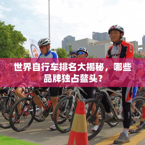 世界自行車排名大揭秘，哪些品牌獨占鰲頭？