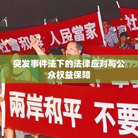 突發(fā)事件法下的法律應對與公眾權益保障