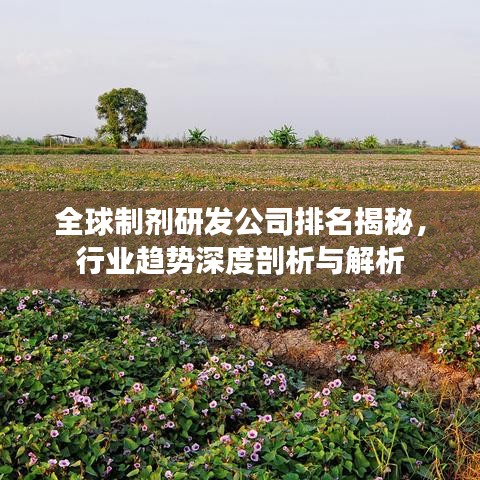 全球制劑研發(fā)公司排名揭秘，行業(yè)趨勢深度剖析與解析