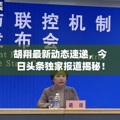 胡翔最新動態(tài)速遞，今日頭條獨家報道揭秘！