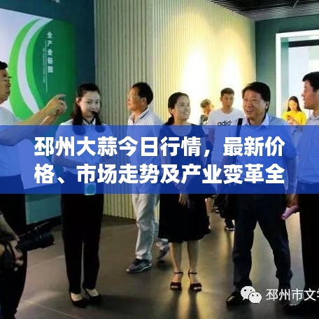 邳州大蒜今日行情，最新價(jià)格、市場(chǎng)走勢(shì)及產(chǎn)業(yè)變革全解析
