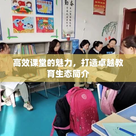 高效課堂的魅力，打造卓越教育生態(tài)簡介