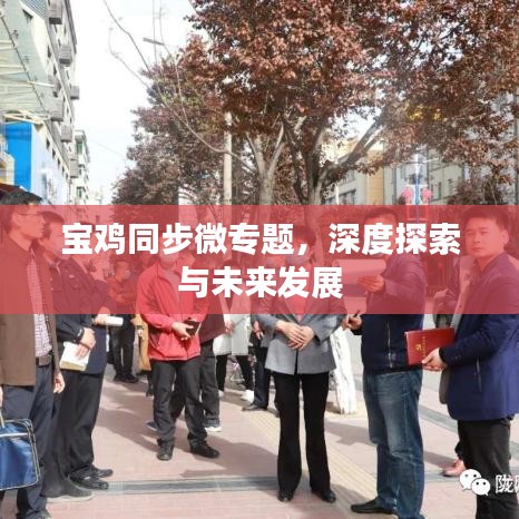 寶雞同步微專題，深度探索與未來發(fā)展