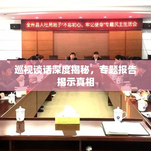巡視談話深度揭秘，專題報告揭示真相