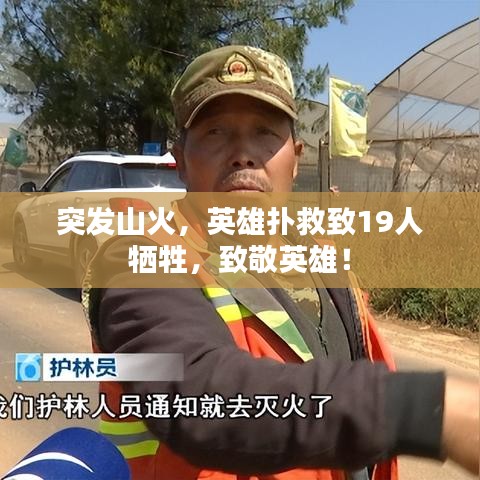 突發(fā)山火，英雄撲救致19人犧牲，致敬英雄！