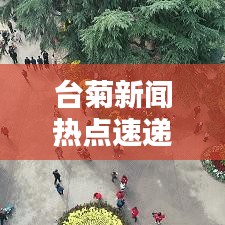 臺(tái)菊新聞熱點(diǎn)速遞，最新頭條報(bào)道搶先看！